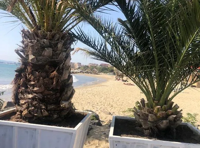 Apartment Sunny Plaza 100 M Sea Sunny Beach