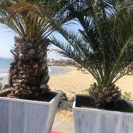 Apartment Sunny Plaza 100 M Sea Sunny Beach