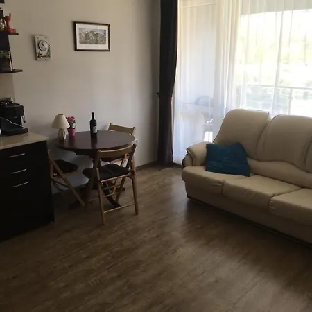 Sunny Plaza 100 M Sea Apartment