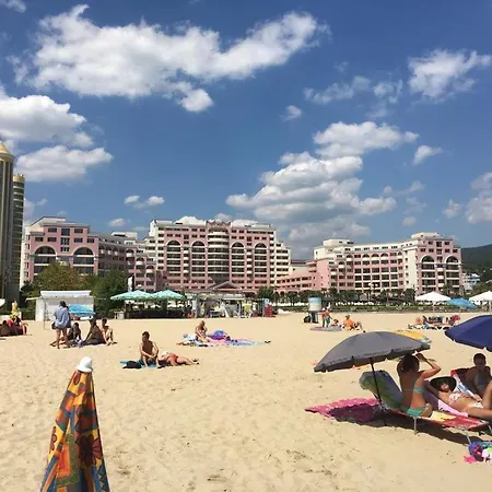 Sunny Plaza 100 M Sea * Солнечный берег